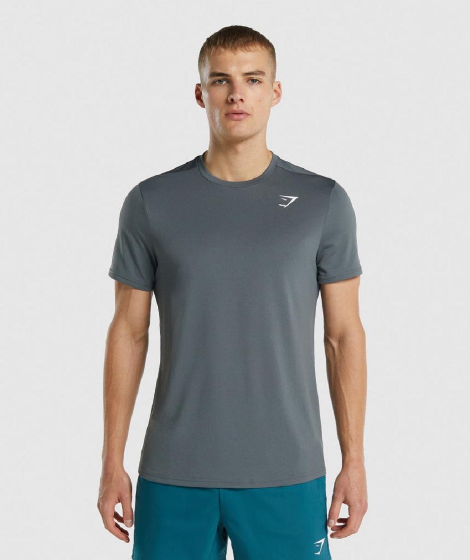 T Shirts Męskie Gymshark Arrival Regular Fit Szare | PL 3868ILH